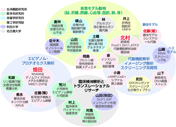 研究者間の関係を中心とした役割分担