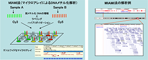 エピゲノム解析技術