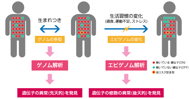 ゲノム・エピゲノム解析研究