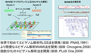 エピゲノム解析技術