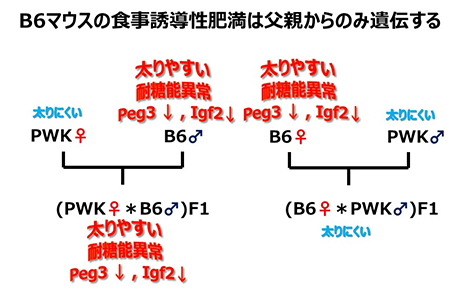 20150108