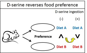 sasaki et al. 2015 e