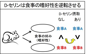 sasaki et al. 2015 j