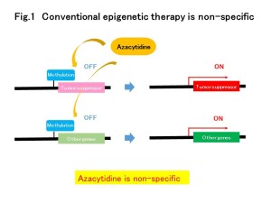 figure1(E)