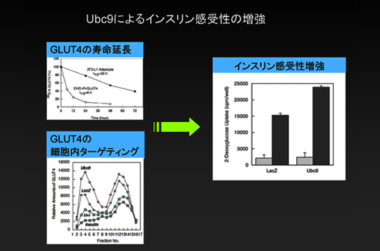 Ubc9ɂCX󐫂̑